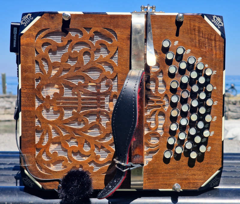 Close-up of bandoneon buttons from the side view